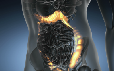 Darmkrebs Vorsorge – Fakten und Zahlen zur Darmkrebserkrankung
